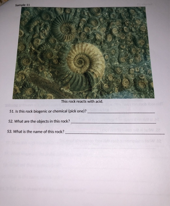 Solved Sample 11 This rock reacts with acid. 51. Is this
