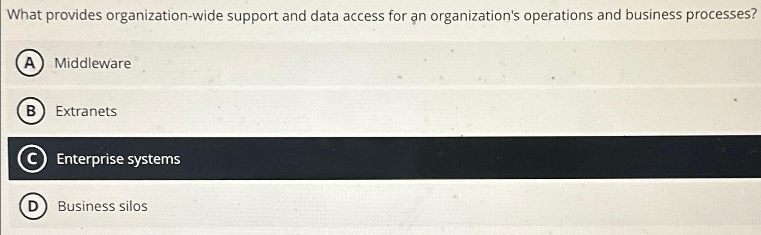 Solved What provides organization-wide support and data | Chegg.com