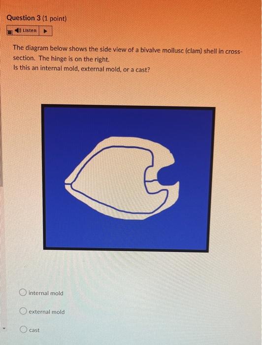 Solved The diagram below shows the side view of a bivalve | Chegg.com