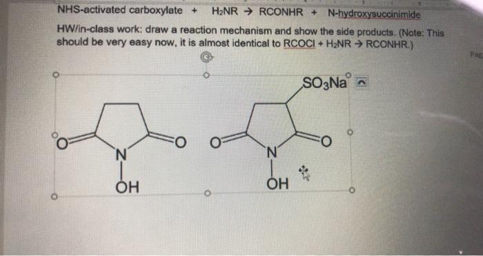 Solved NHS-activated carboxylate + H2NR → RCONHR + | Chegg.com