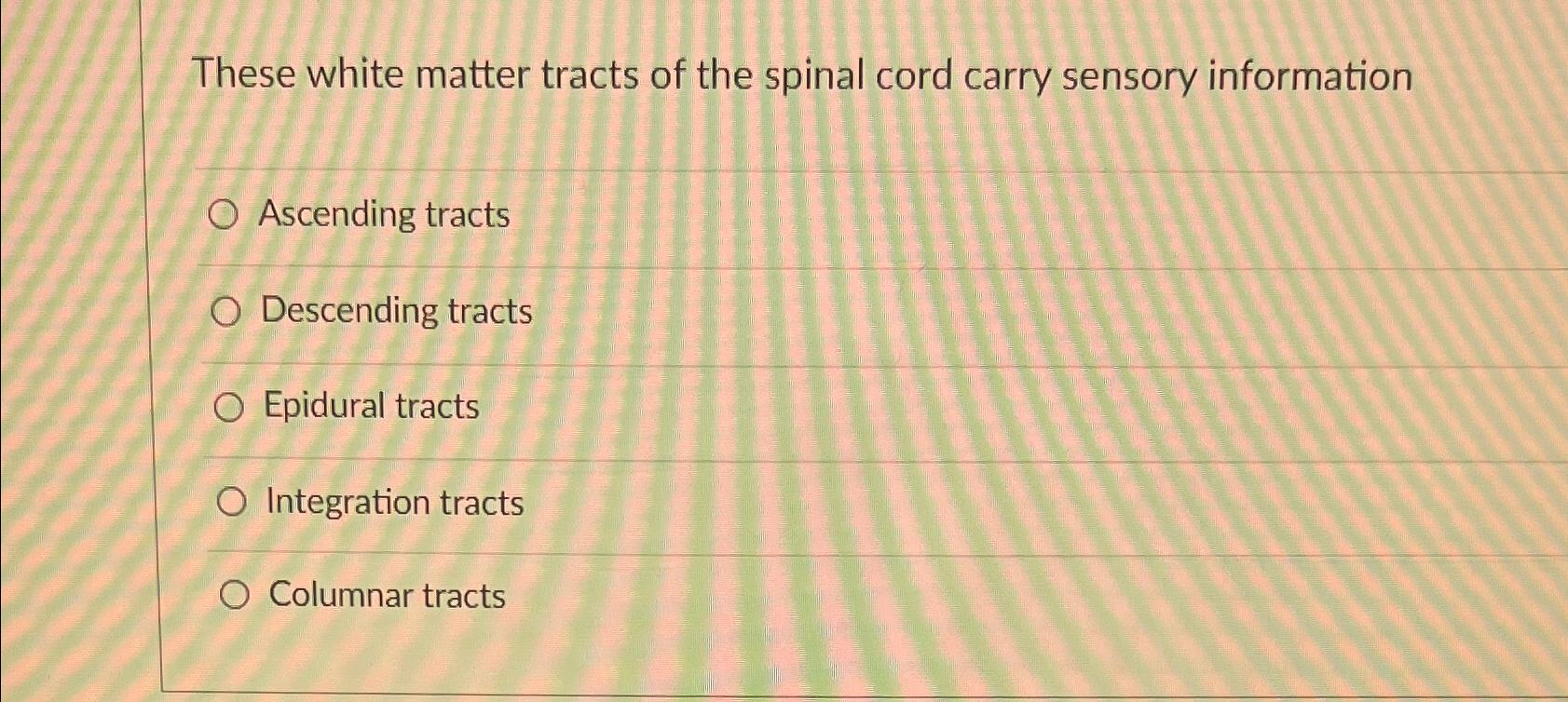 Solved These white matter tracts of the spinal cord carry | Chegg.com