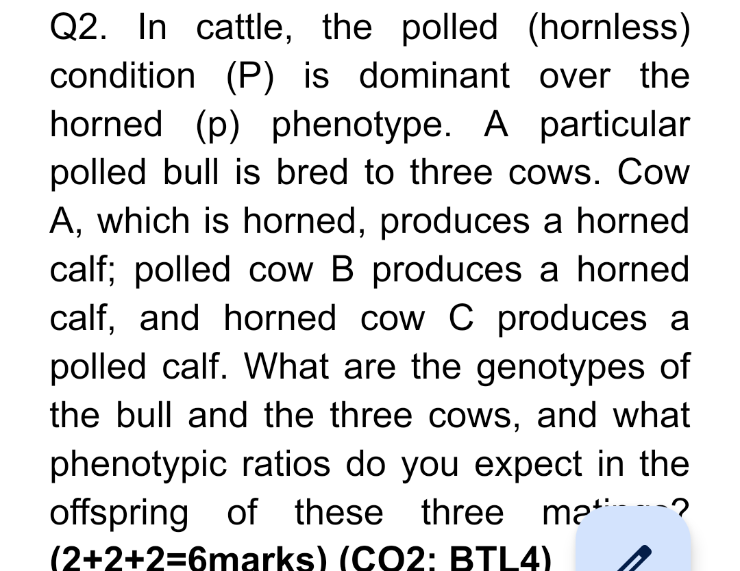 Solved Q2. In Cattle, The Polled (hornless) Condition (P) Is | Chegg.com