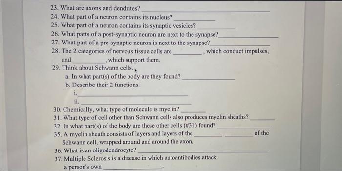 Solved 23. What are axons and dendrites? 24. What part of a Biology Diagrams