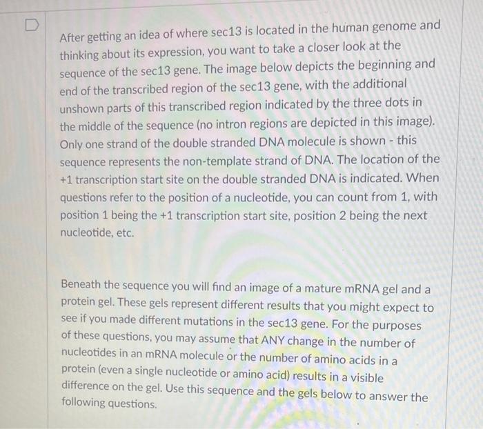 After getting an idea of where sec13 is located in | Chegg.com