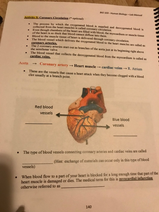 Solved BIO 103 Human BiologyLab Manual Activity 4 Blood