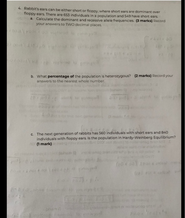 Solved can someone please help me with all of these | Chegg.com