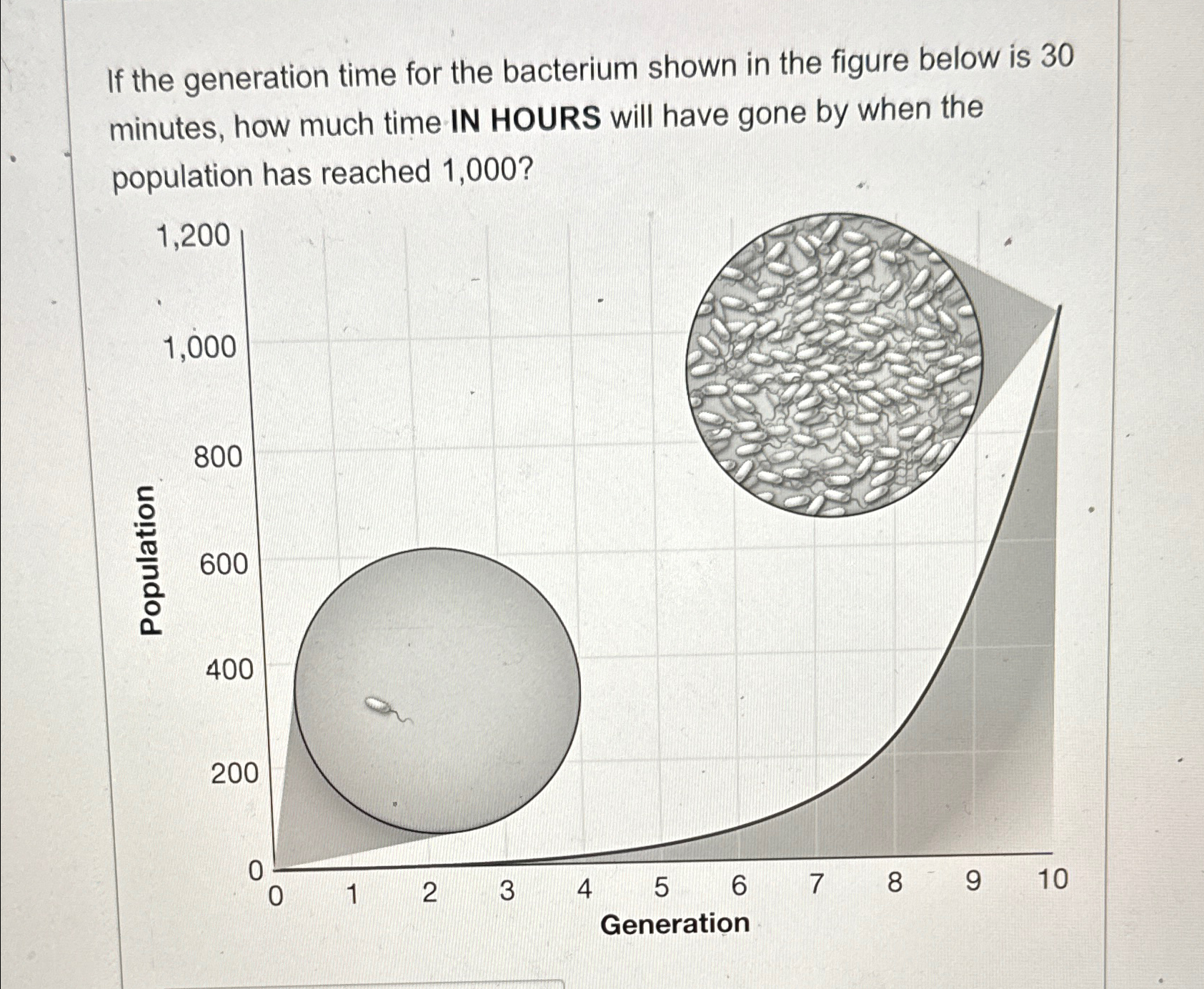 Solved If the generation time for the bacterium shown in the | Chegg.com