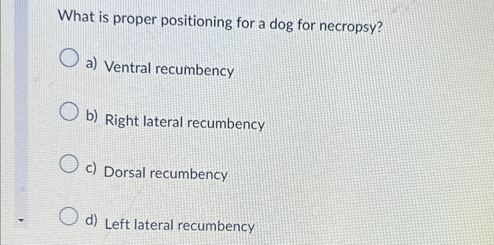 Solved What is proper positioning for a dog for necropsy?a)