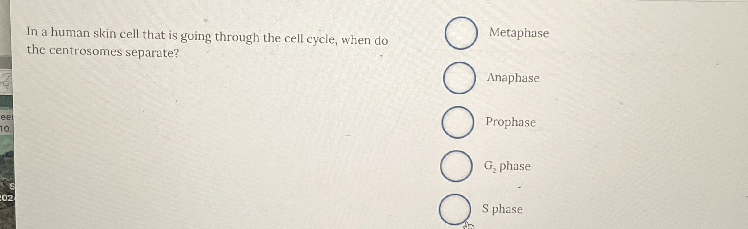 Solved In a human skin cell that is going through the cell | Chegg.com