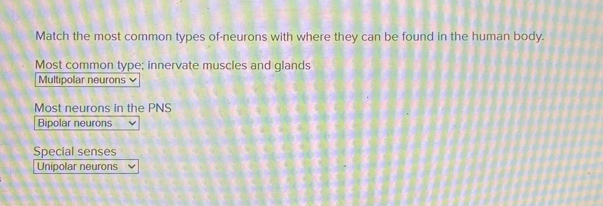 Solved Match the most common types of-neurons with where | Chegg.com