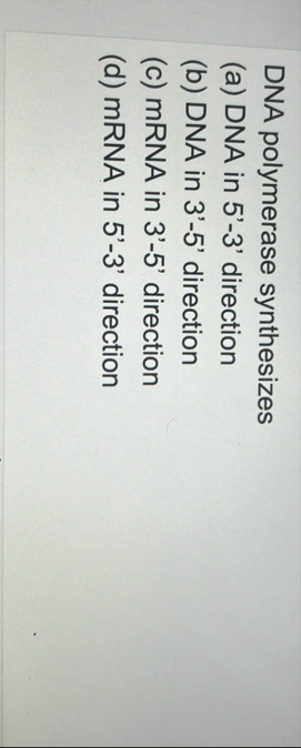Solved DNA polymerase synthesizes(a) ﻿DNA in 5&#39;-3&#39; | Chegg.com 