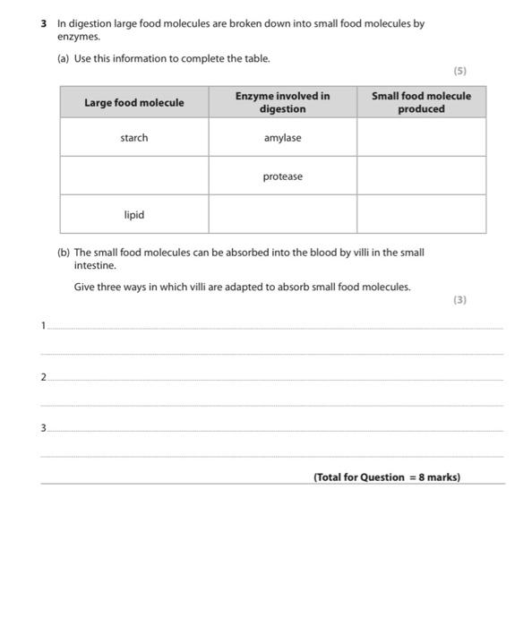Solved 3 In digestion large food molecules are broken down