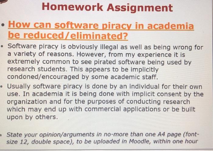 assignment about software piracy