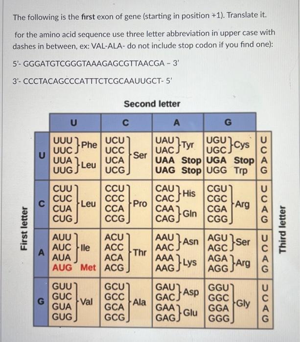 Solved The following is the first exon of gene (starting in | Chegg.com