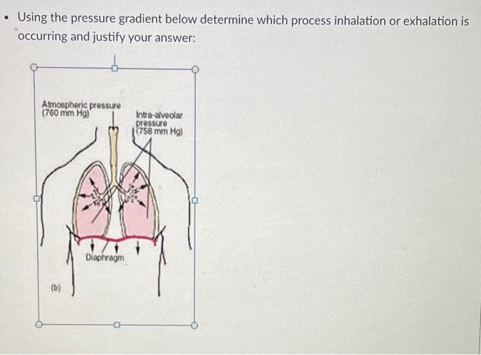 Solved Using the pressure gradient below determine which | Chegg.com