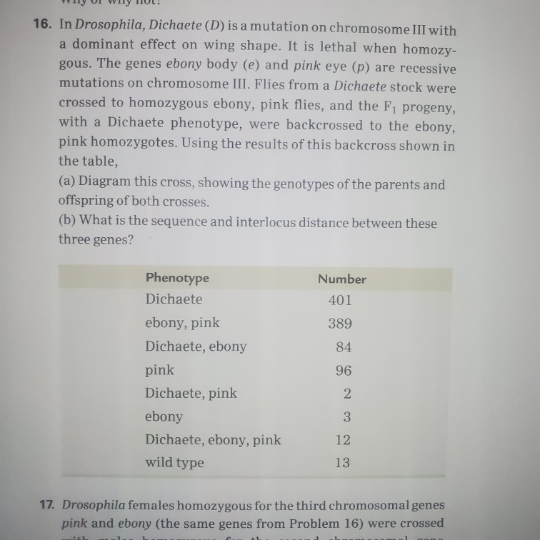 Solved Genetics question. Could you please explain this | Chegg.com