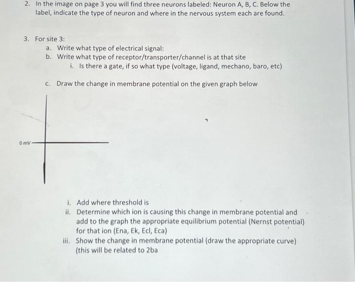 Solved 2. In the image on page 3 you will find three | Chegg.com