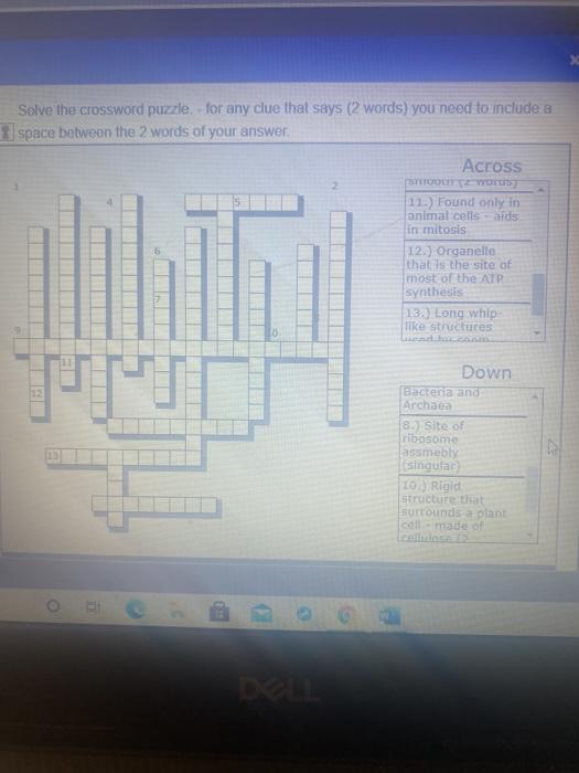 Solved Solve the crossword puzzle for any clue that says Chegg com