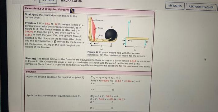 Solved Goal Apply The Equilibrium Conditions To The Human | Chegg.com