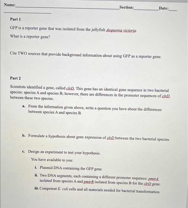 solved-name-section-date-part-1-gfp-is-a-reporter-gene-chegg