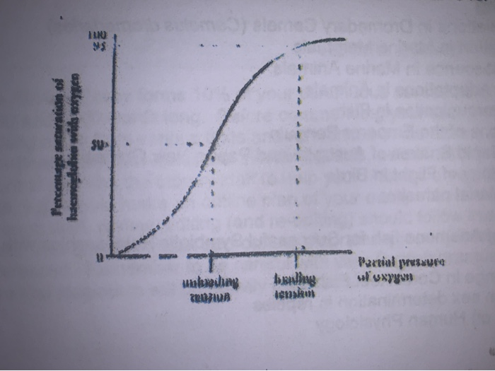 Solved The graph below shows an oxygen dissociation curve | Chegg.com
