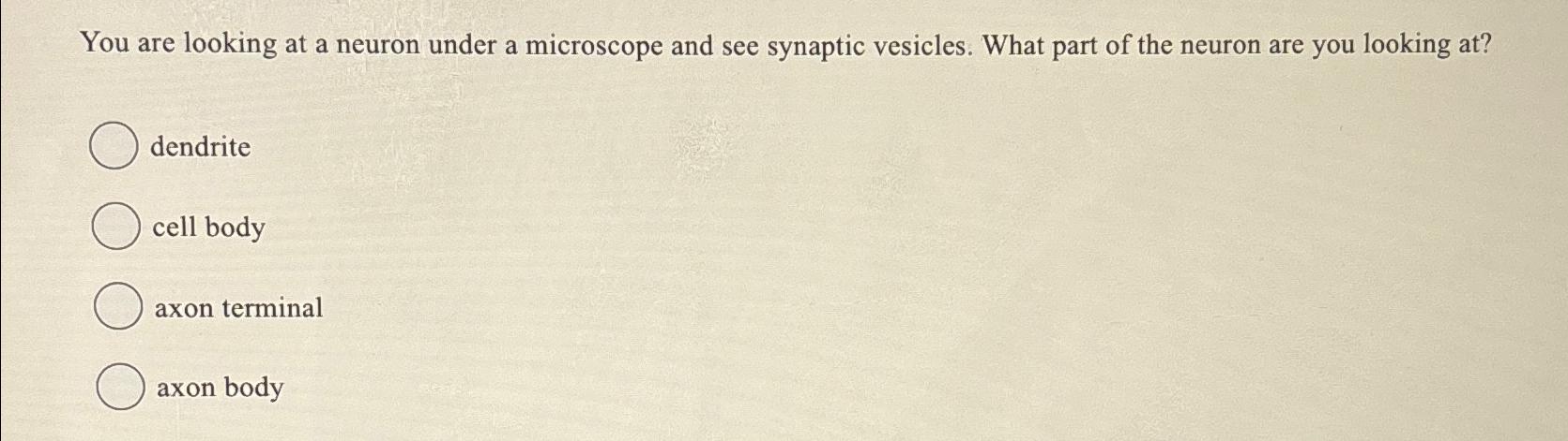 Solved You are looking at a neuron under a microscope and | Chegg.com
