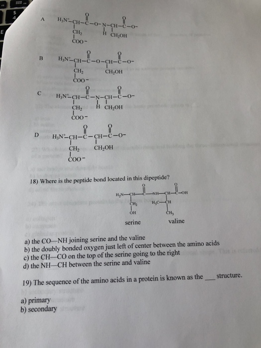 Solved 17 The Form Of Dipeptide Aspatylserine Asp Ser Chegg Com