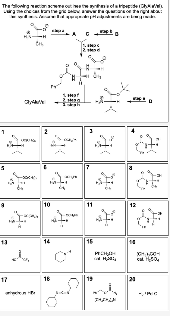 The following reaction scheme outlines the synthesis | Chegg.com