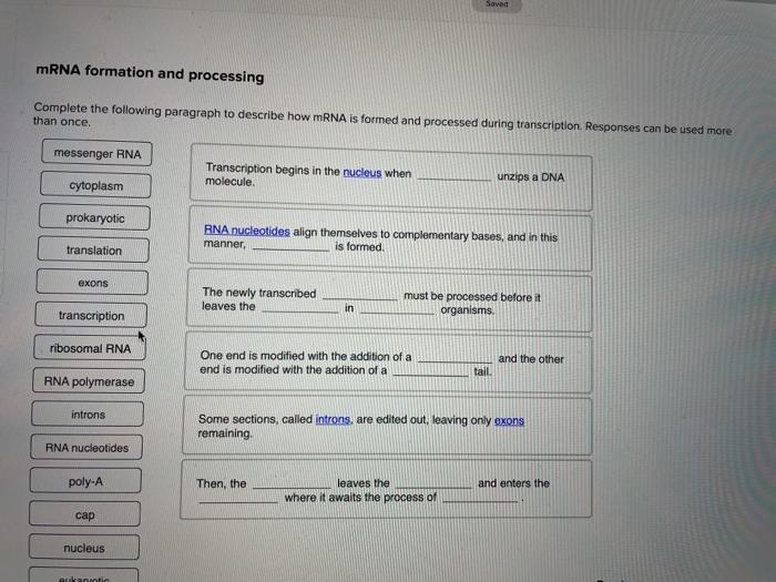Solved Saved mRNA formation and processing Complete the | Chegg.com