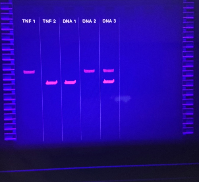 Solved identify genotypes in test samples by matching their