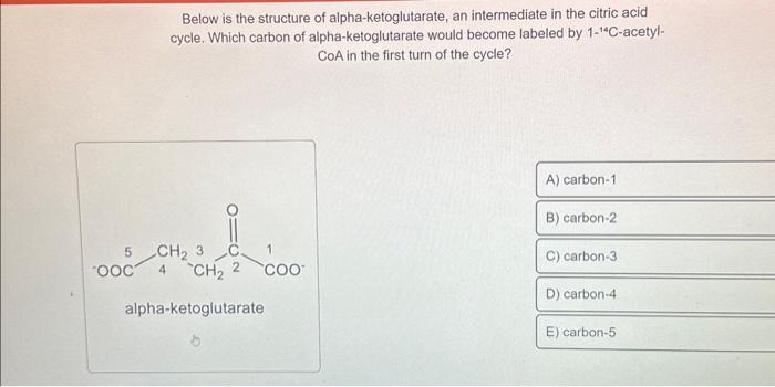 Below is the structure of alpha-ketoglutarate, an intermediate in the citric acid cycle. Which carbon of alpha-ketoglutarate