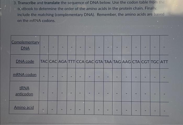Solved Transcrive and translate the secquence of DNA below. | Chegg.com