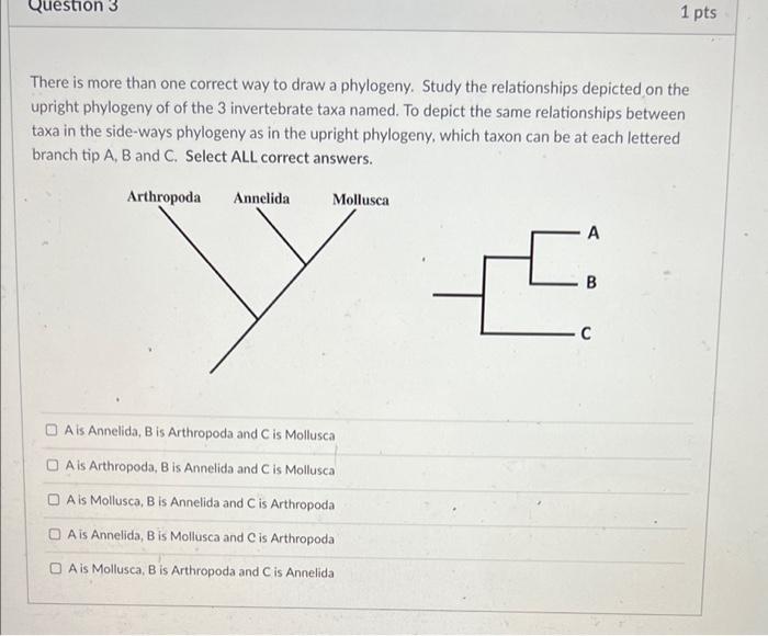 solved-question-3-1-pts-there-is-more-than-one-correct-way-chegg