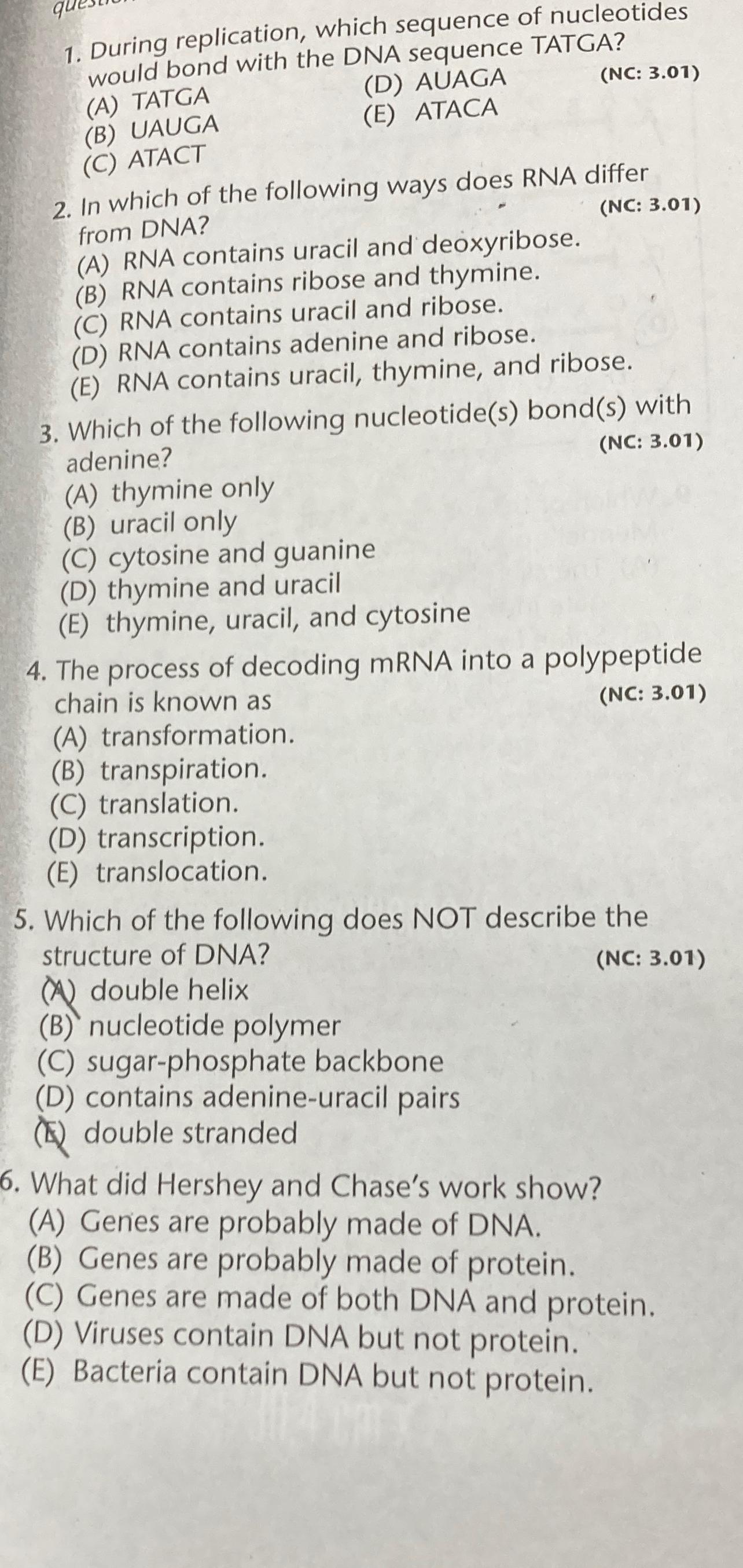 Solved During replication, which sequence of nucleotides | Chegg.com