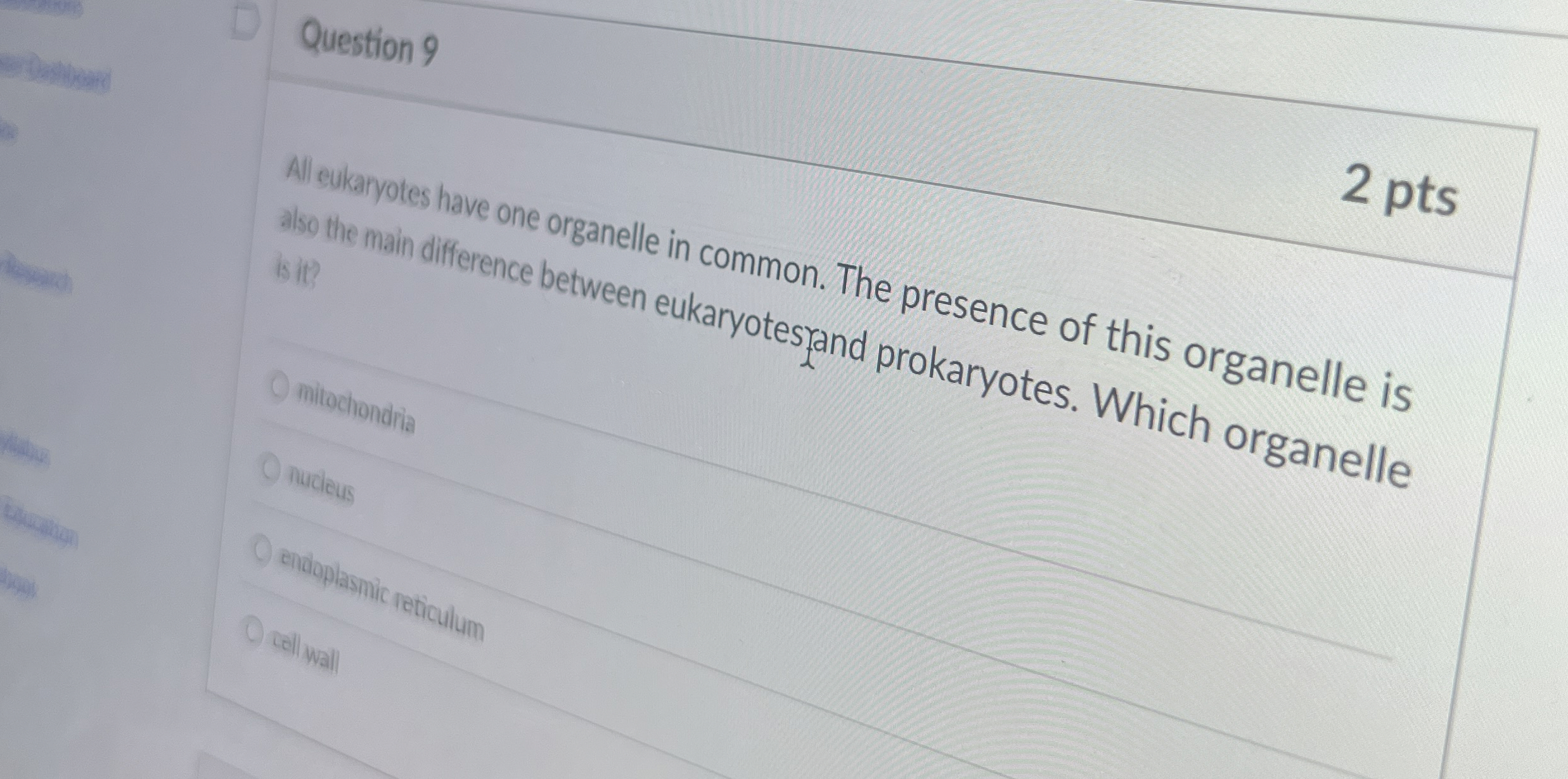 Solved Question 92 ﻿ptsAll cularyoles have one organelle in | Chegg.com