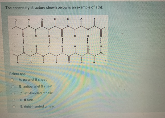 Solved The Secondary Structure Shown Below Is An Example Of | Chegg.com