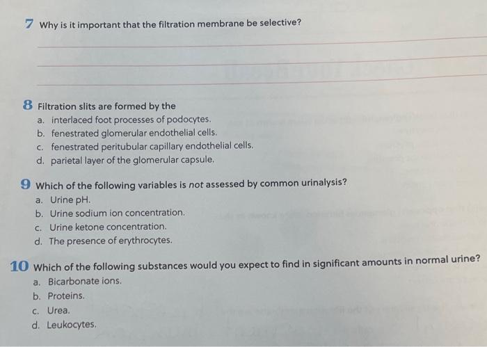 Solved 7 Why is it important that the filtration membrane be | Chegg.com