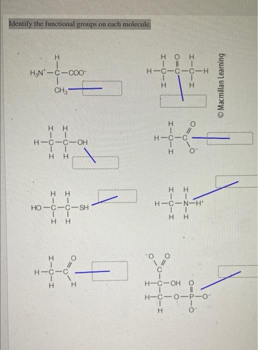 Identify the functional groups on each molecule.