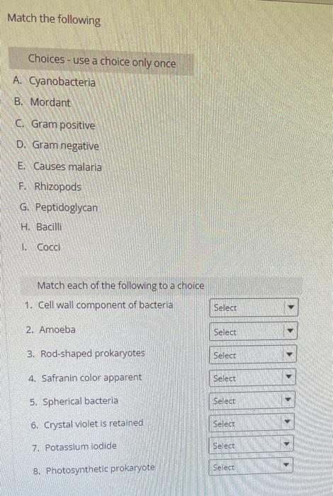 Match the following
Choices - use a choice only once
A. Cyanobacteria
B. Mordant
C. Gram positive
D. Gram negative
E. Causes 