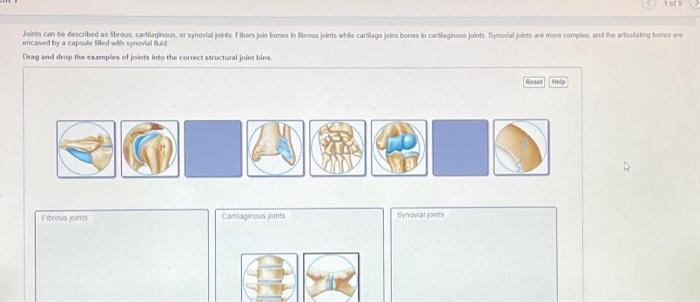 solved-joints-can-be-described-as-fibrous-cartilaginous-or-chegg