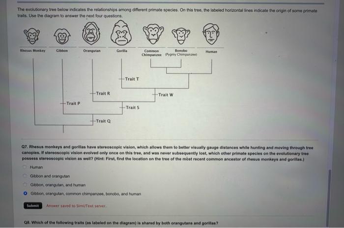 Solved The evolutionary tree below indicates the | Chegg.com