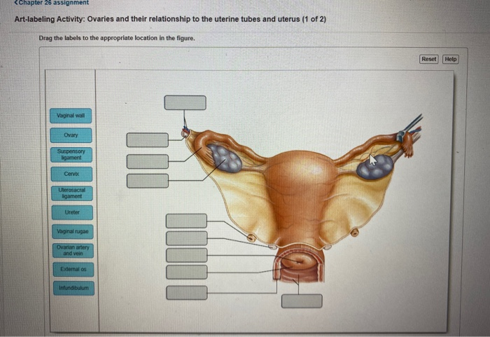 Solved Question | Chegg.com