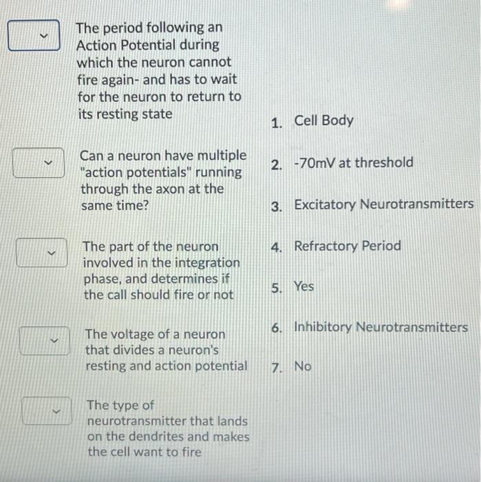 Solved The period following an Action Potential during which | Chegg.com