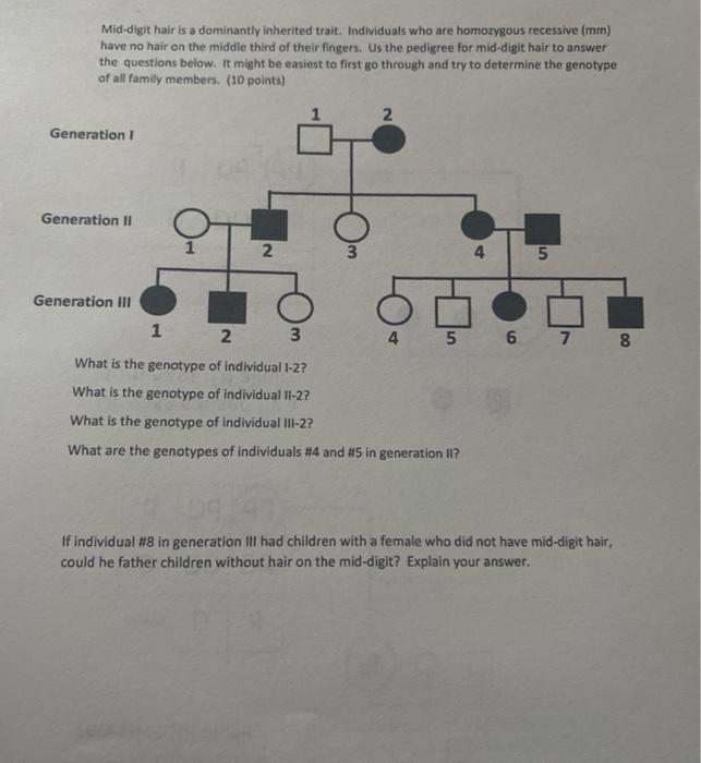 Solved You can use a pedigree to determine the genotype of | Chegg.com