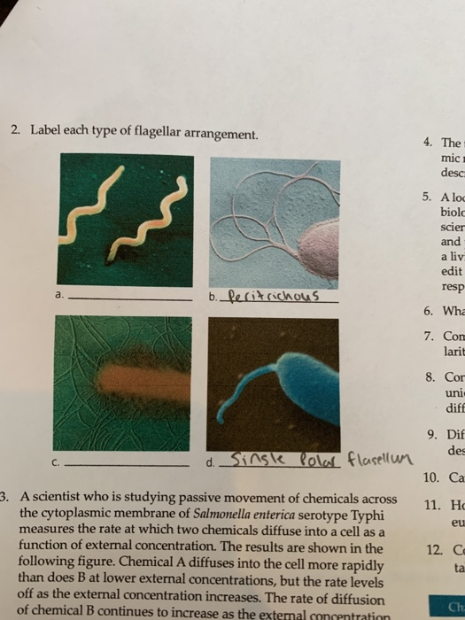 2. Label each type of flagellar arrangement. b.