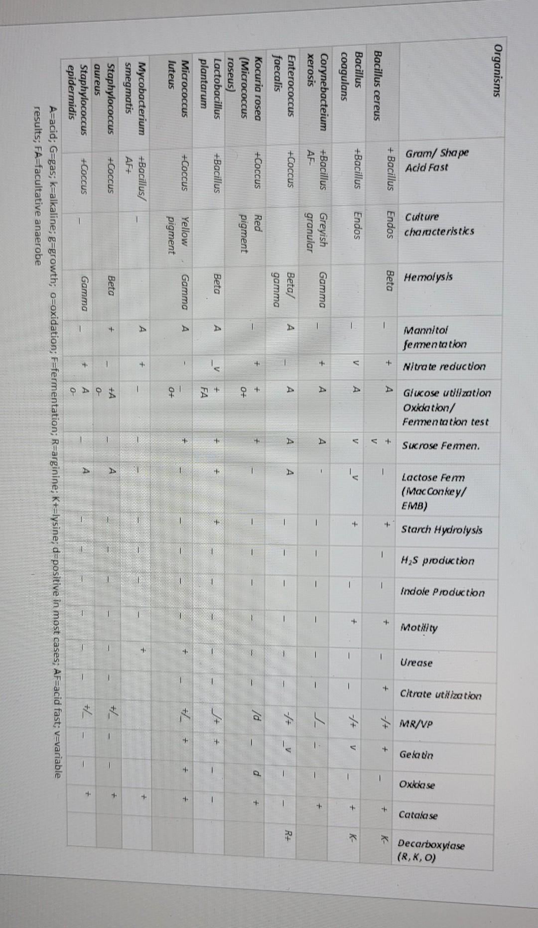 Solved Make a Dichotomous Key from the test results of the | Chegg.com