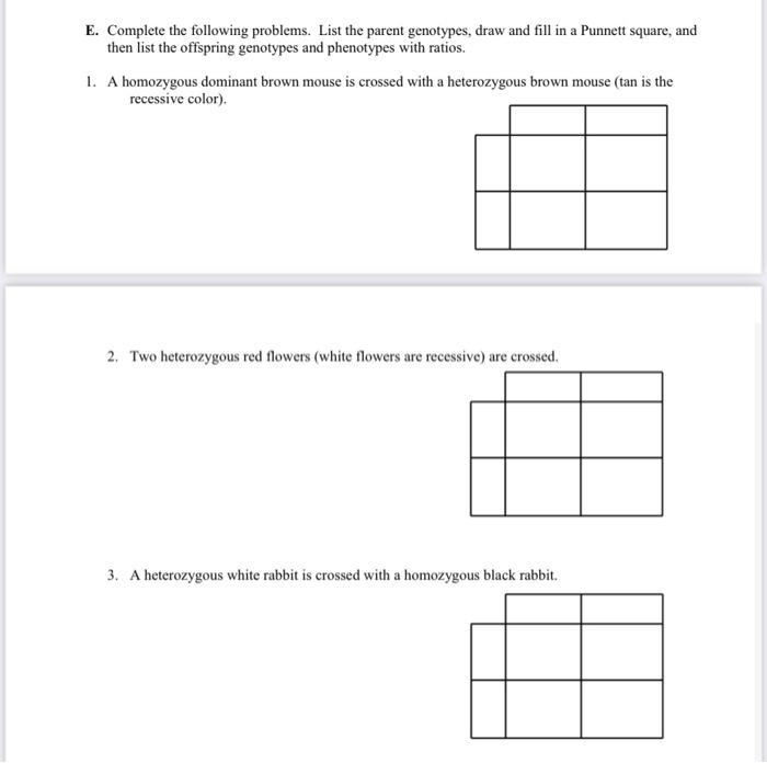 Solved D. Set up the Punnett squares for each of the crosses | Chegg.com