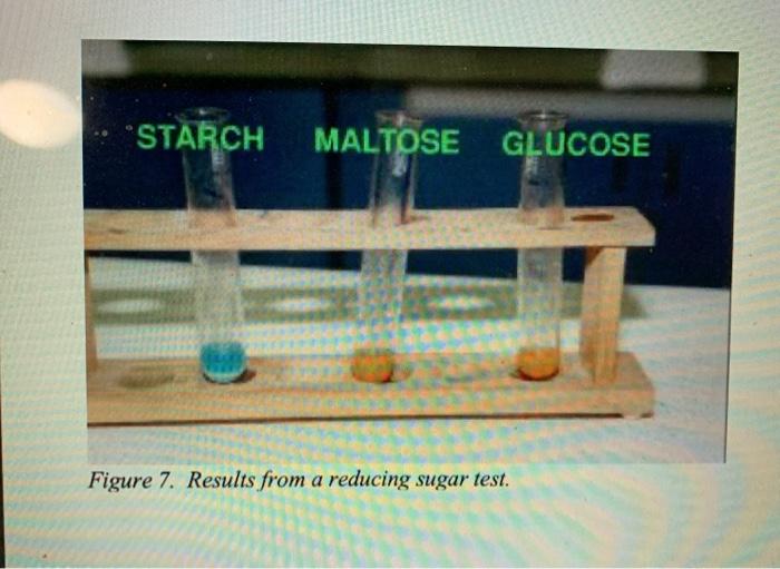 Solved STARCH MALTOSE GLUCOSE Figure 7. Results from a | Chegg.com