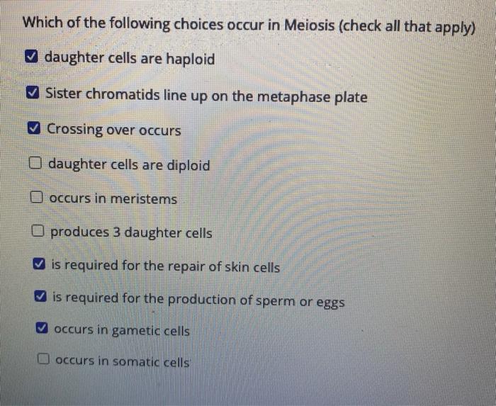 Solved consider a cell with a diploid number of 6 | Chegg.com