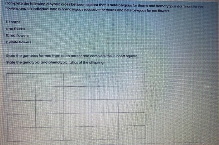 Solved Complete the following dihybrid cross between a plant | Chegg.com